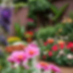 A beautifully landscaped corner garden filled with vibrant flowers and greenery