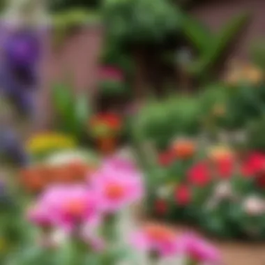 A beautifully landscaped corner garden filled with vibrant flowers and greenery