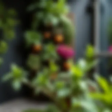 Creative vertical garden setup in a corner yard, utilizing space efficiently with various plants