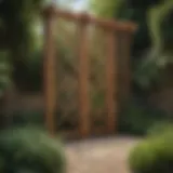 Elegant wooden garden divider with trellis