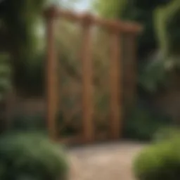Elegant wooden garden divider with trellis