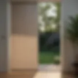 Stylish roller blinds for front doors complementing modern architecture