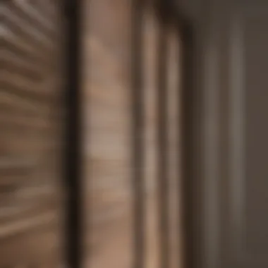 Venetian blinds providing versatile light control and style for the front door