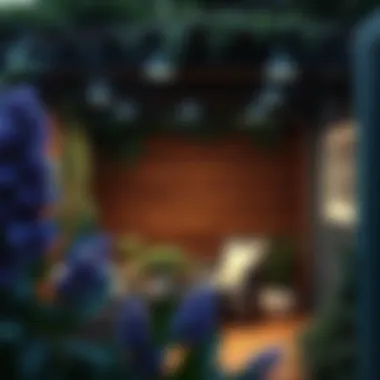 Innovative Trellis Ideas for Privacy Introduction Innovative Trellis Ideas for Privacy Introduction