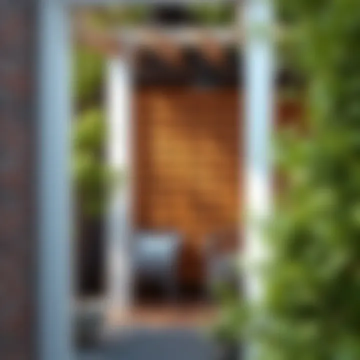 Notable Innovative Trellis Ideas for Privacy Notable Innovative Trellis Ideas for Privacy