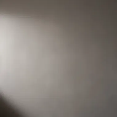 Different paint finishes displayed on a wall