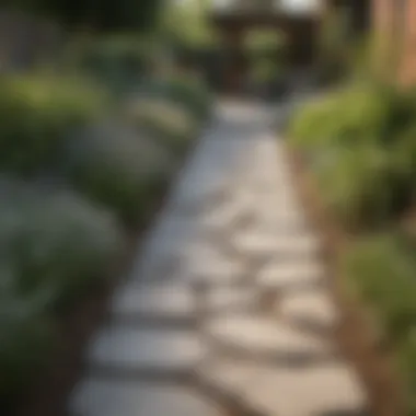 Creative use of stone pathways integrated with native plants in a garden.