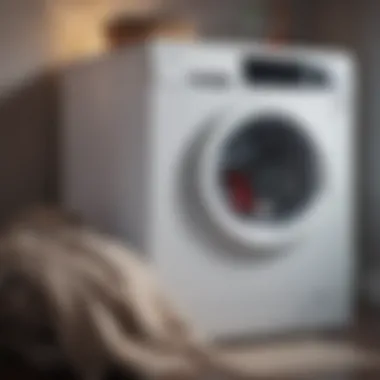 Washing machine with blankets inside