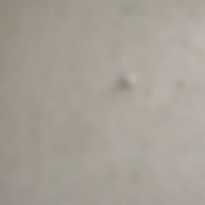 Different types of drywall damage