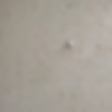 Identifying Various Types of Drywall Damage Different types of drywall damage