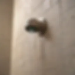 Close-up of a clean shower caulk joint