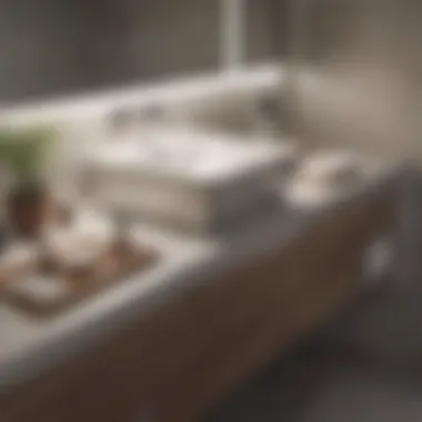 Minimalist bathroom vanity top with organized products