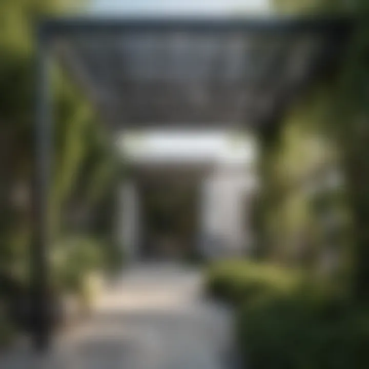 Metal pergola with elegant lines and greenery