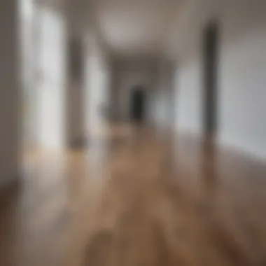 Sleek laminate flooring showcasing a minimalist hallway