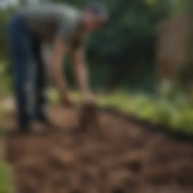 Gardener applying soil amendments in a garden bed