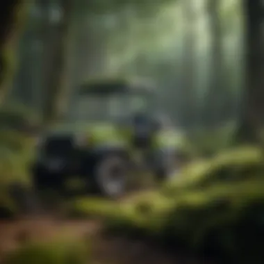 Maintaining a moss removal machine post-use
