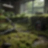 High-performance moss removal machine in action