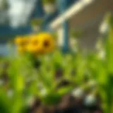 Optimal Timing for Spring Fertilization Introduction