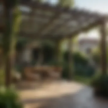 Perennial Pergola Setup Charming pergola adorned with climbing plants