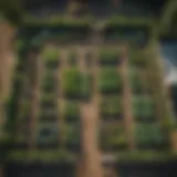 Aerial view of a well-organized vegetable garden layout