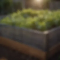 A close-up view of a raised garden bed showcasing its mesh bottom structure.