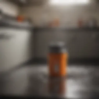 Preventive Strategies for Efficient Garbage Disposal Preventive measures to maintain garbage disposal efficiency