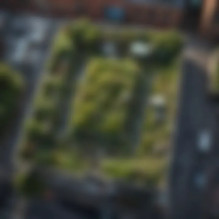 Bird's eye view of a green urban rooftop