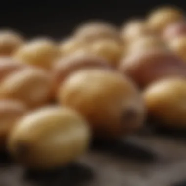 Different potato varieties showcasing unique characteristics