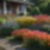 Vibrant perennial flowers in a well-maintained front lawn