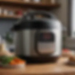 Selecting the Optimal Instant Pot for a Small Family Introduction