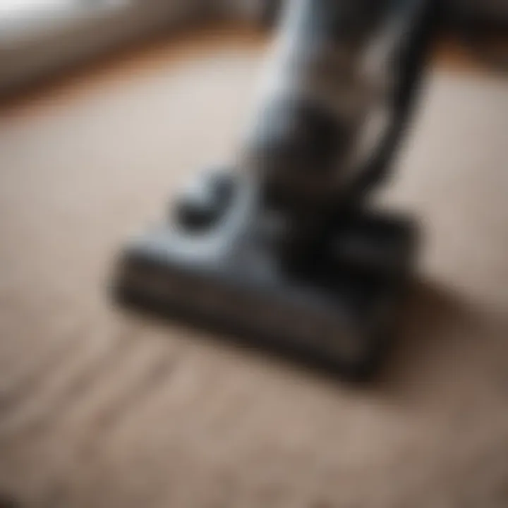 Powerful vacuum cleaner on a carpet