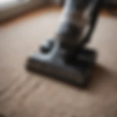 High-Performance Vacuum for Carpets Powerful vacuum cleaner on a carpet
