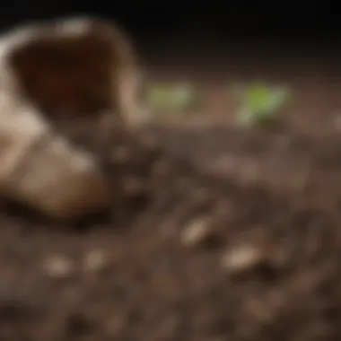 Nutrient-Rich Soil Mixture Nutrient-rich soil mixture for potato cultivation