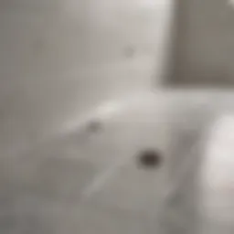 Close-up of clean bathroom tile after steam cleaning