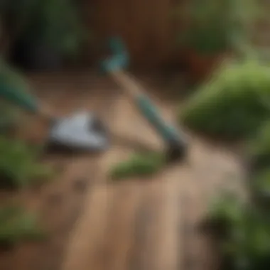 An assortment of eco-friendly weed removal tools laid out neatly on a wooden surface