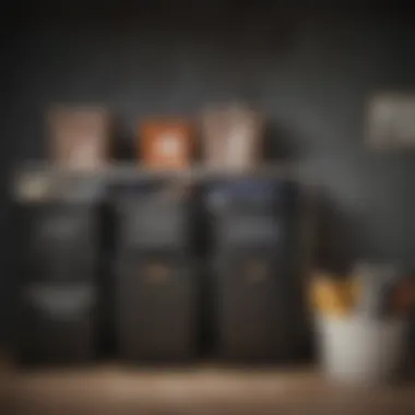 Storage solutions with bins and labels for clothing items