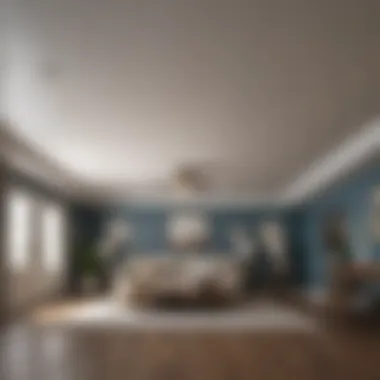 Essential Tools for Ceiling Renovation Well-organized tools for popcorn ceiling removal
