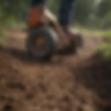 Preparing Soil for Successful Seeding Soil preparation techniques for seeding