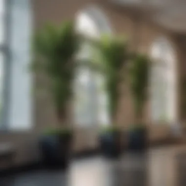 Elegance of Tall Indoor Plants in Office Design Tall indoor plants adding elegance to a contemporary office