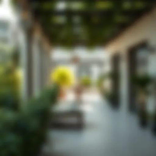 Elegant terrace with lush greenery