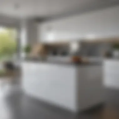 Stylish white kitchen design featuring a seamless integration of decor elements