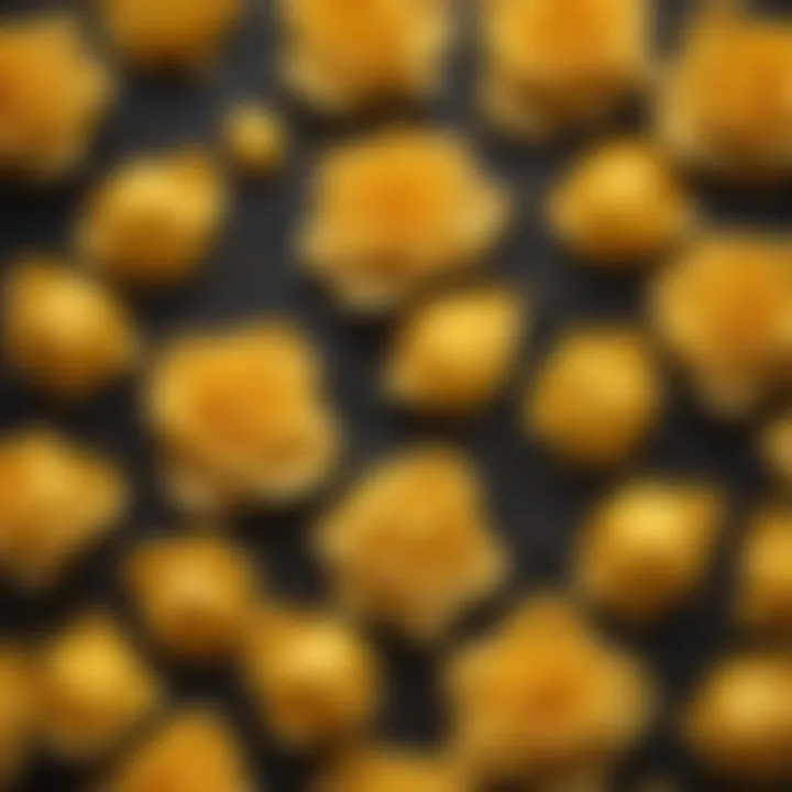 Close-up view of yellow climbing rose petals with dewdrops