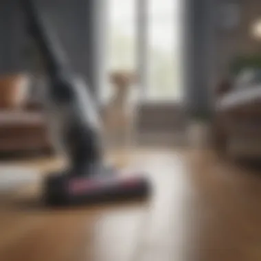 User-friendly vacuum features for pet owners