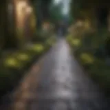 Glistening pathway illuminated by soft lights