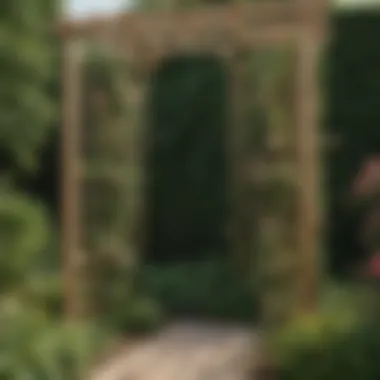 Guide to Building a Trellis for Climbing Roses A step-by-step illustration of constructing a trellis for climbing roses, featuring essential tools and materials.