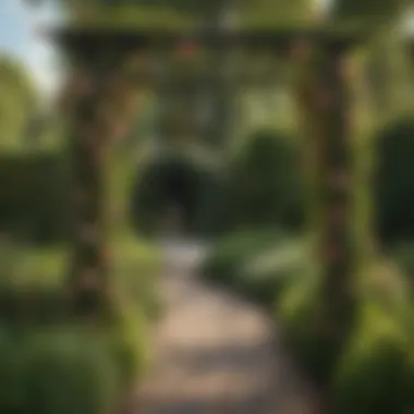 Diverse Trellis Designs Enhancing Rose Gardens An overview of a garden featuring various trellis styles, each supporting different climbing rose varieties.