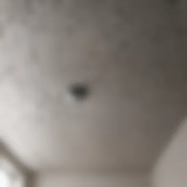Moisture Damage on Ceiling Materials Close-up of ceiling material affected by moisture