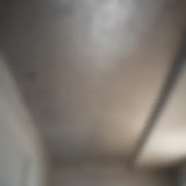 Water Stains Indicating Potential Leaks Visual representation of water stains on a ceiling