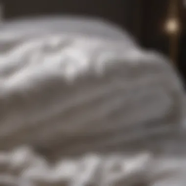 The Benefits of Cotton in Breathable Comforters Soft cotton fabric showcasing breathability
