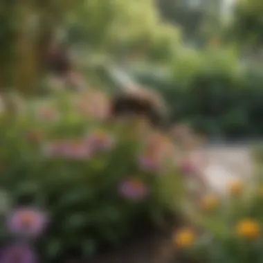 Pollinator-Friendly Garden A well-maintained garden featuring plants that attract and support carpenter bees and other pollinators.